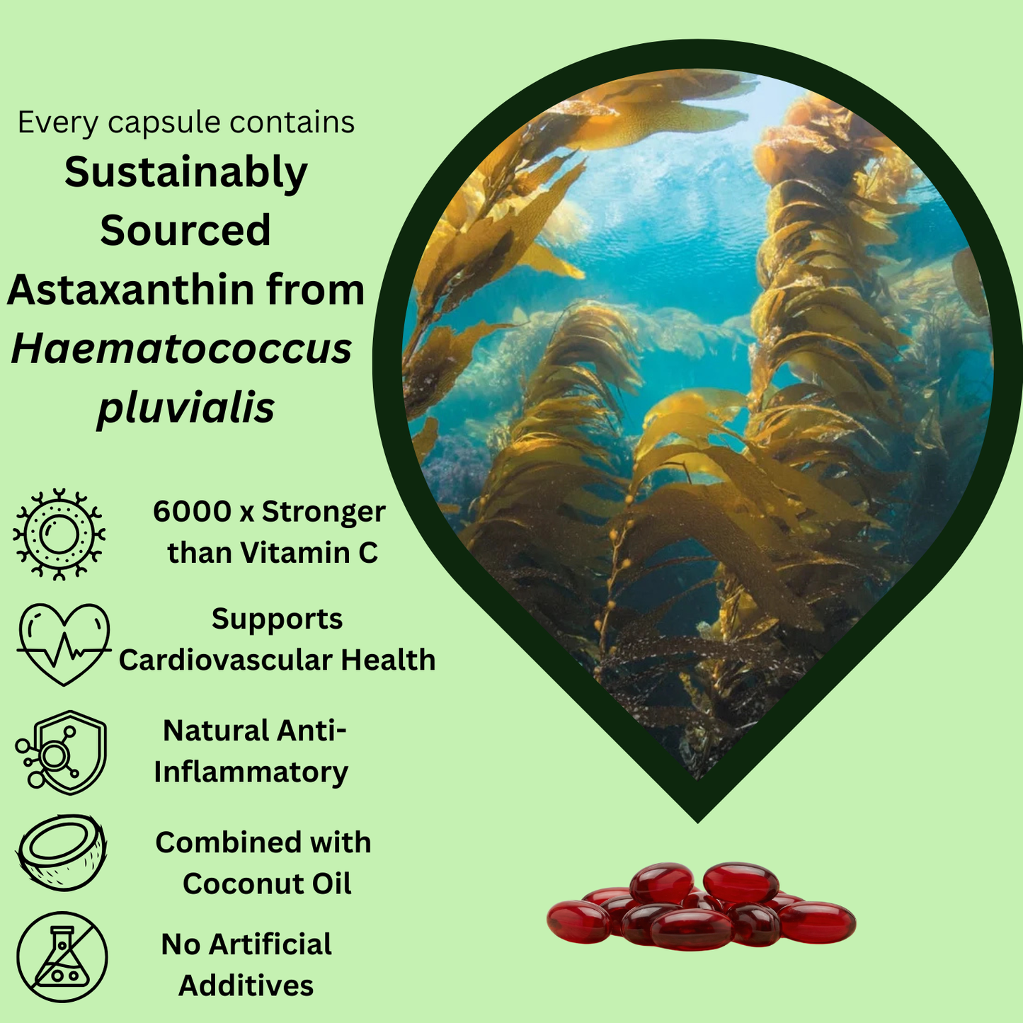 Peakcora Astaxanthin – The Inside-Out Solution for Healthy Blood Pressure, Balanced Blood Sugar & Lasting Energy